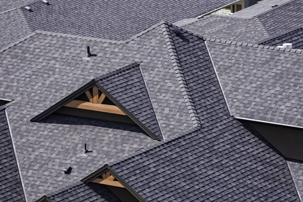 Signs You Need to Replace Your Roof: Maple Grove Contractor Advice