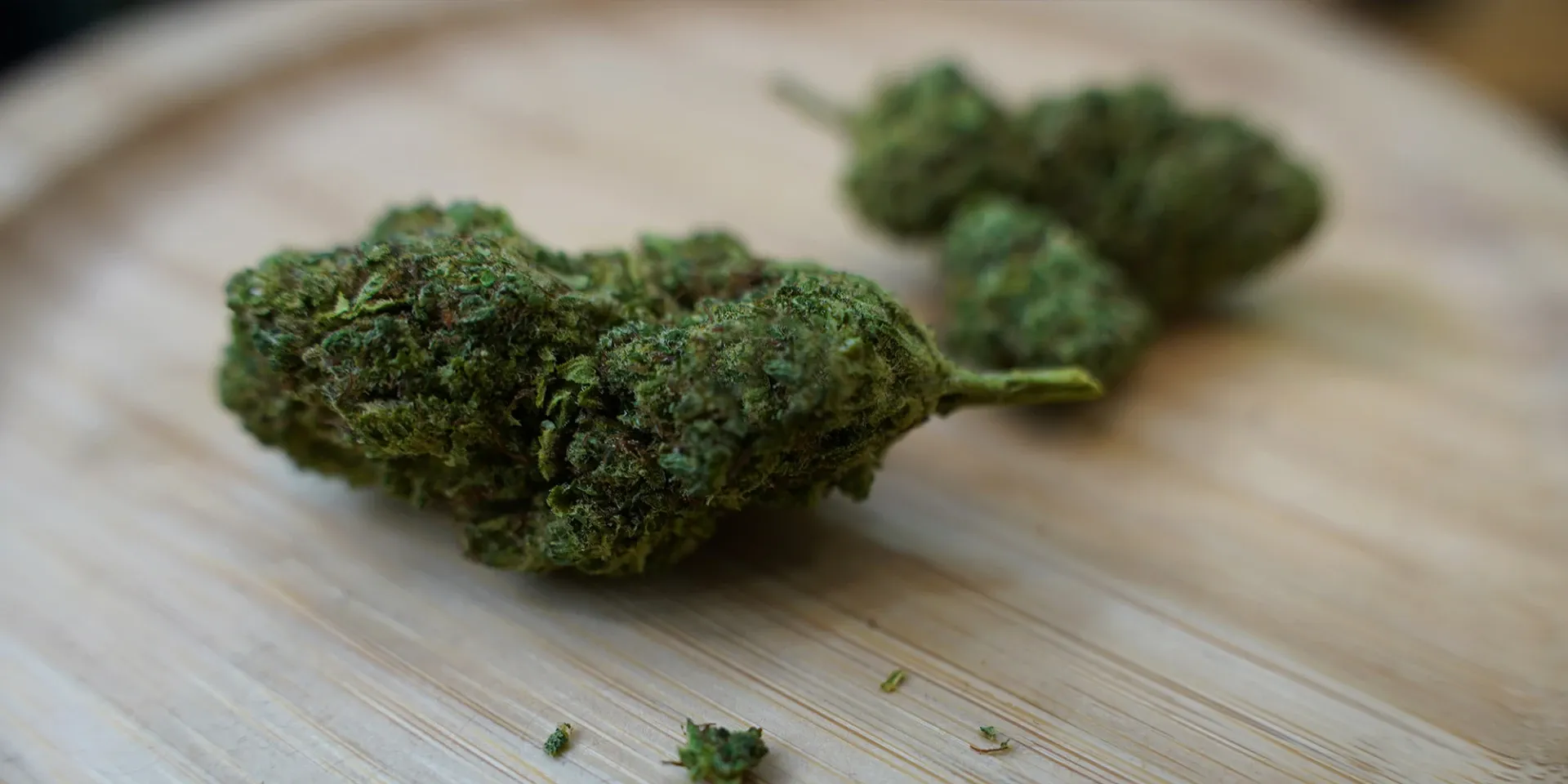 Everything You Need to Know About delta 8 flower Before Buying